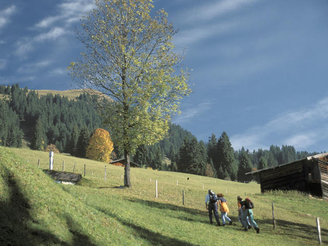 Apartamento Neukumhof Westendorf Exterior foto